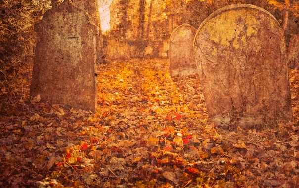 ადამიანის დიდება