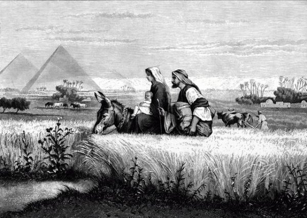 აღსრულდა თქმული - ეგვიპტიდან მოვუხმე ჩემს ძეს