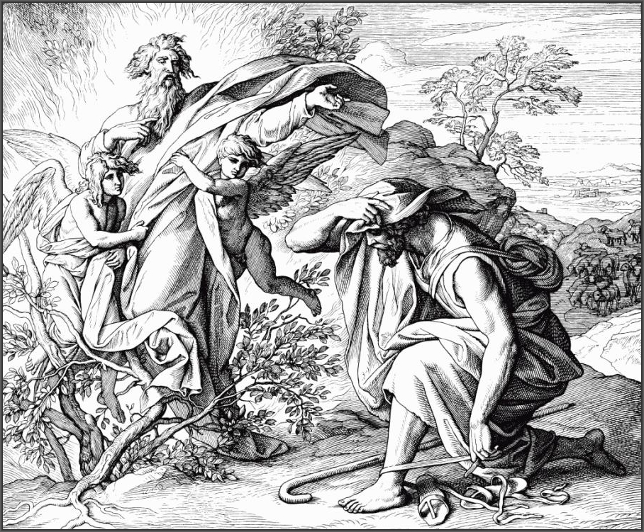 ალმოდებული მაყვლოვანი