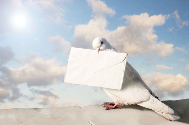 ამბავი, უწყება, შეტყობინება, ხმის დარხევა