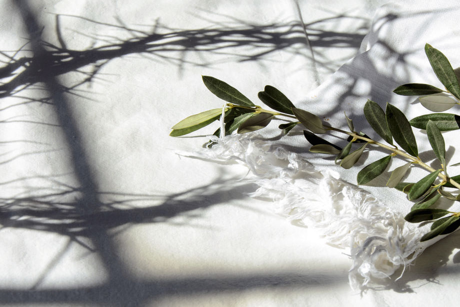 ამხილეთ ქვეყნიერება ბოროტ საქმეებში, დაე ნუ შეგიყვარებთ თქვენ