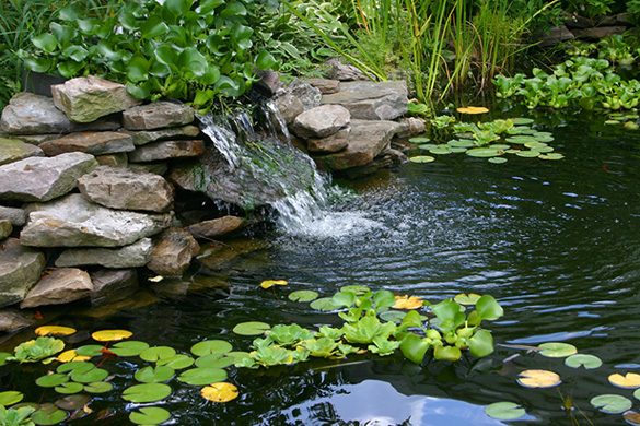 აუზი, ტბორი, წყალსატევი