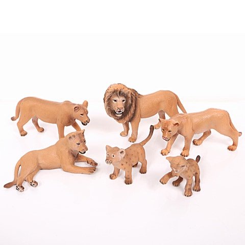 ბოკვერი, ლეკვი