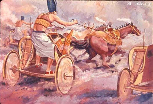 ბორბალი, თვალი