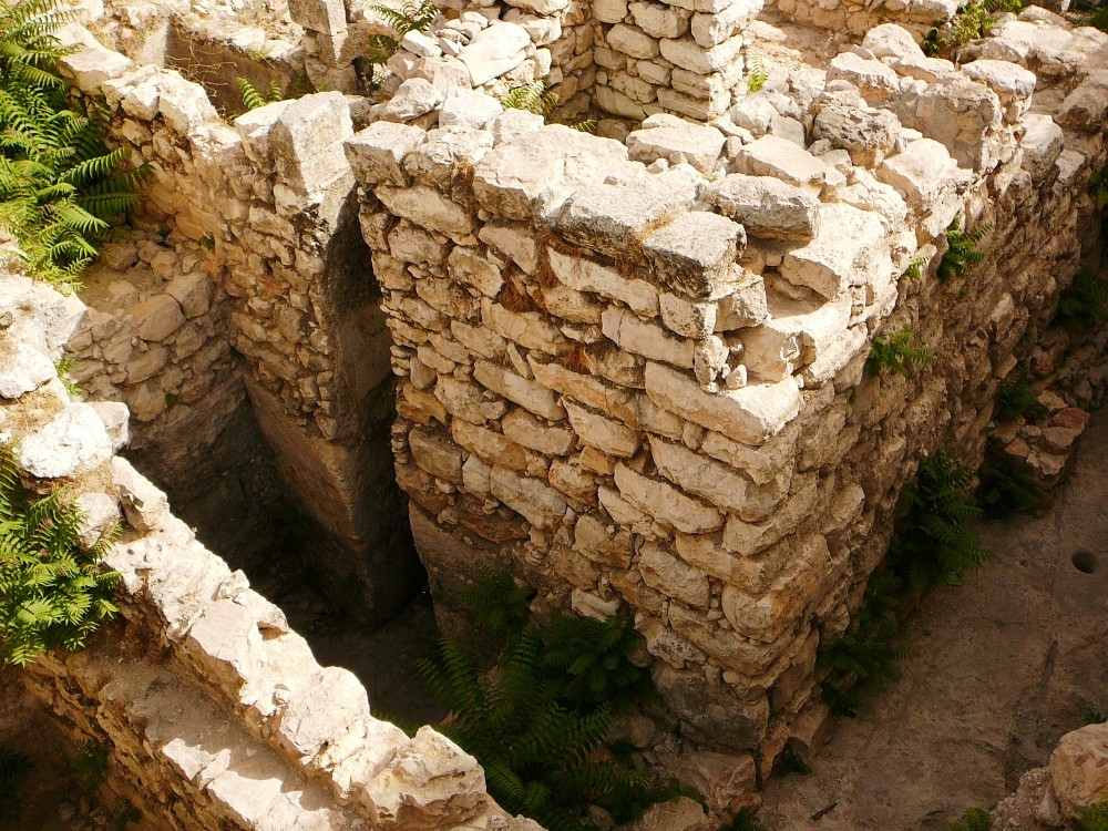 ბზარი, გარღვეული, ნაპრალი