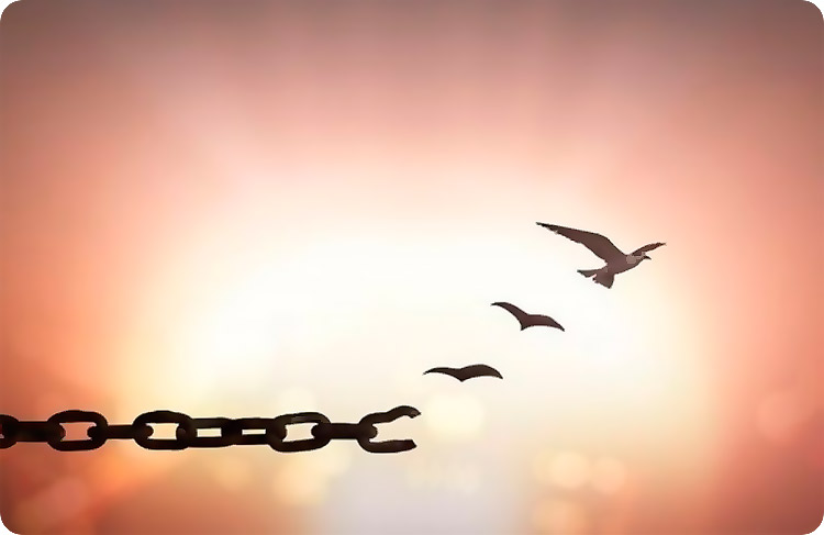 ჩვენი თავისუფლების მოთვალთვალენი