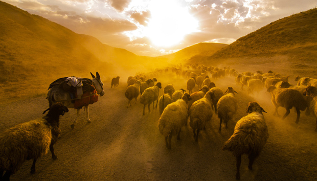 დაიმკვიდრებენ ქვეყანას თვინიერნი, გულით მდაბალნი, მორჩილნი, მშვიდნი...