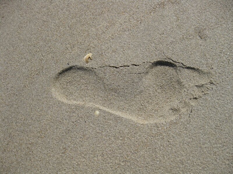 დამოკიდებულება - შინაგანი განწყობილება