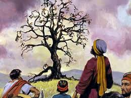 დარისხება, დაწყევლა, შეჩვენება, ანათემა