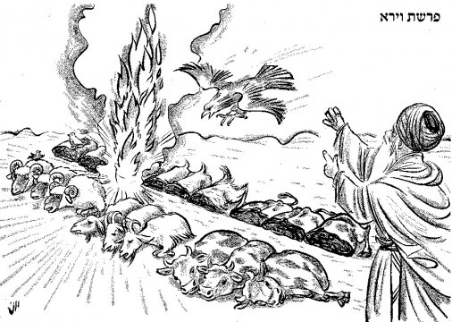 დაცვა მტაცებლებისგან