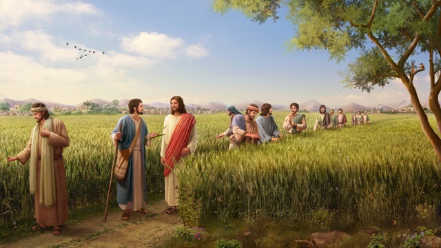 ძე კაცისა არის შაბათის უფალი