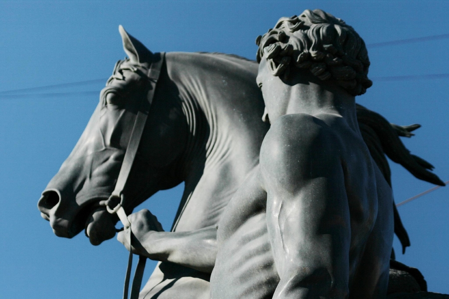 ენის მოსათვინიერებლად საჭიროა