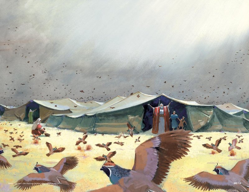 ერიდეთ ბუზღუნს და დრტვინვას - ურჩობის სიტყვებიც აღსრულებადია