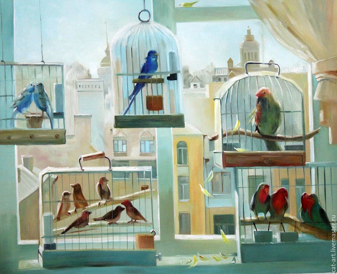 გალია - მოსამწყვდევი ადგილი