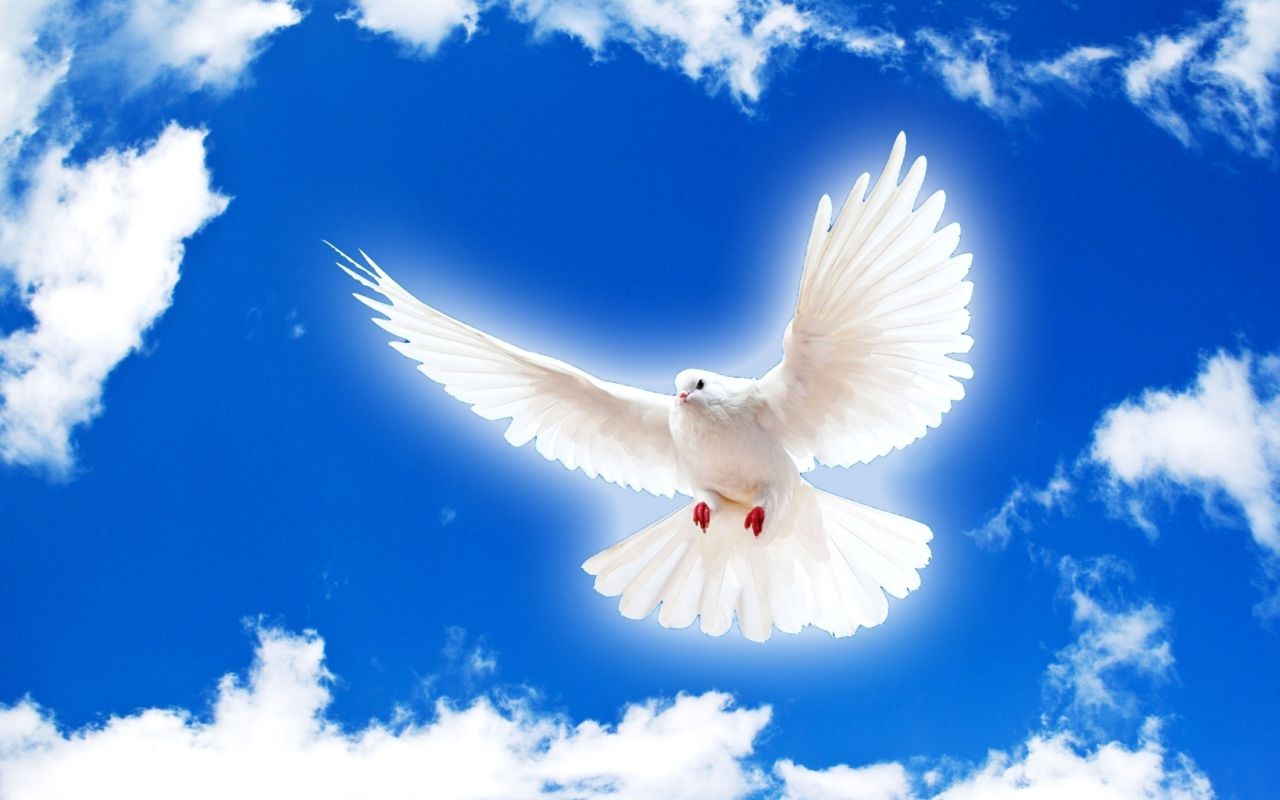 განახლება სულიწმიდის მიერ