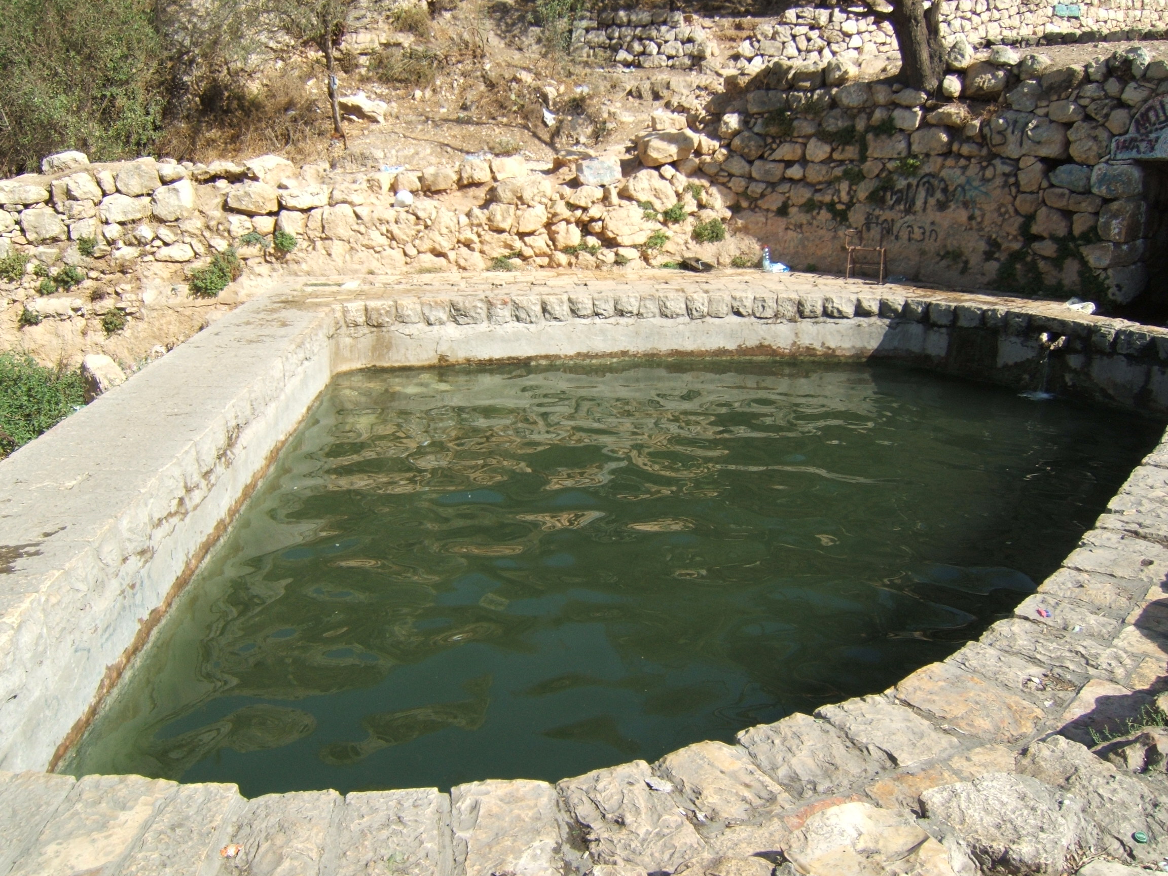 განწმედა მსხვერპლშეწირვამდე ან შესაწირავთან მიკარებამდე