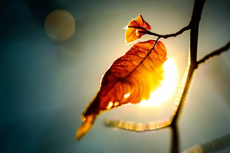 გარდამავალი, დროებითი, წარმავალი