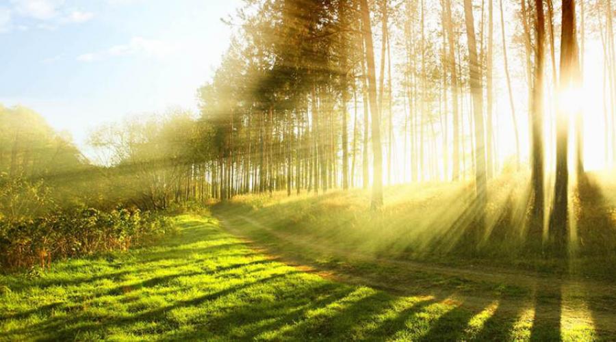 ღმერთი თანაბრად აკურთხებს მართლებსაც და უსამართლოებსაც