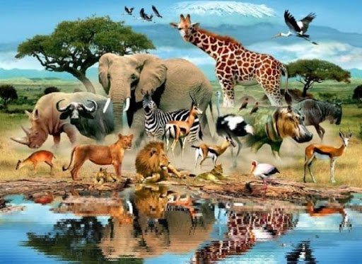 ღმერთი ზრუნავს თავის ქმნილებებზე