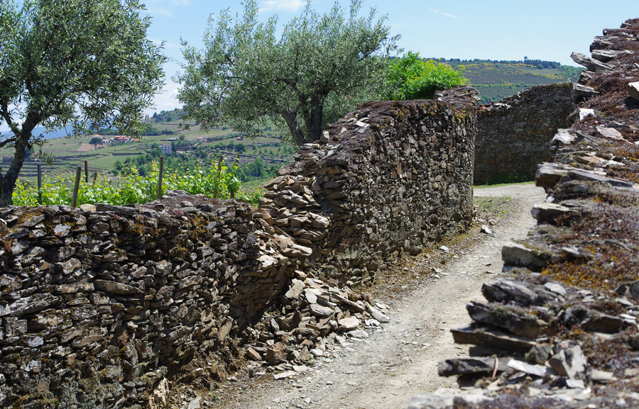 ღობე, ზღუდე