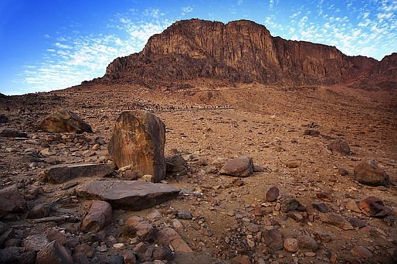 ღვთის მოლოდინი, სასოება (ვსასოებთ, ვესავთ), იმედის დამყარება მასზე, მინდობა