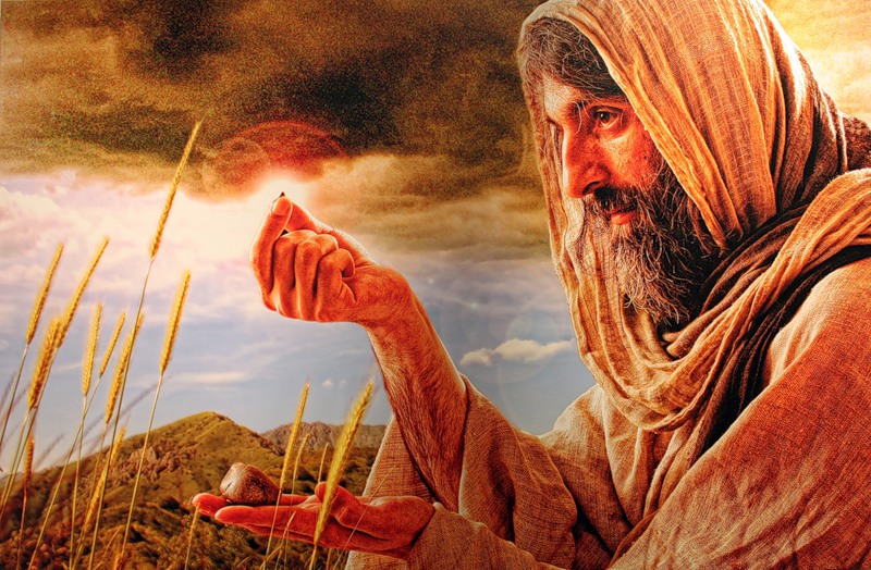 იგავი, არაკი, ანდაზა, ქარაგმა