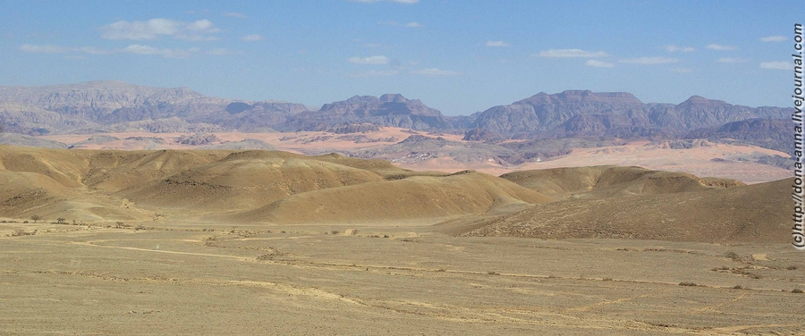 ისრაელი არ ერწმუნა ღვთის აღთქმას და უდაბნოში იხეტიალა 40 წელი