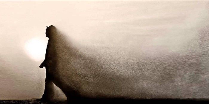 ხორციელად მავალნი