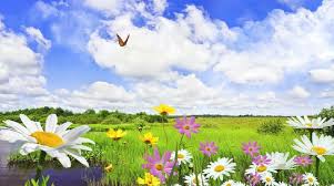 კურთხეულები