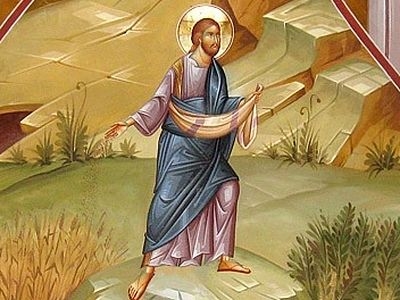 ქვიან ადგილას დათესილი მარცვლები