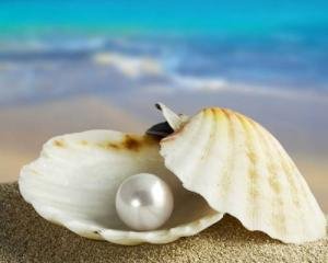 მარგალიტი, საუნჯე, სიმდიდრე - იესო ქრისტე