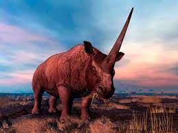 მარტორქა ან ველური ხარი