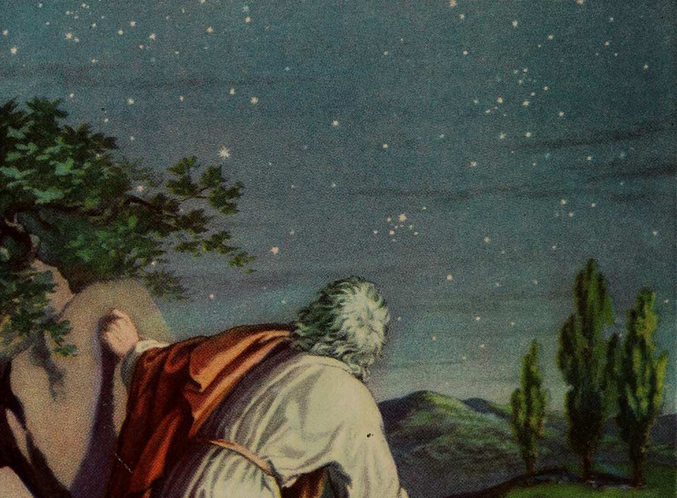 მეჭველი ზღვის ტალღასა ჰგავს, ქარით მიმოტაცებულს