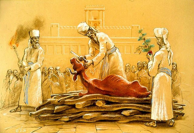 მღვდლის წილი შეწირულობიდან