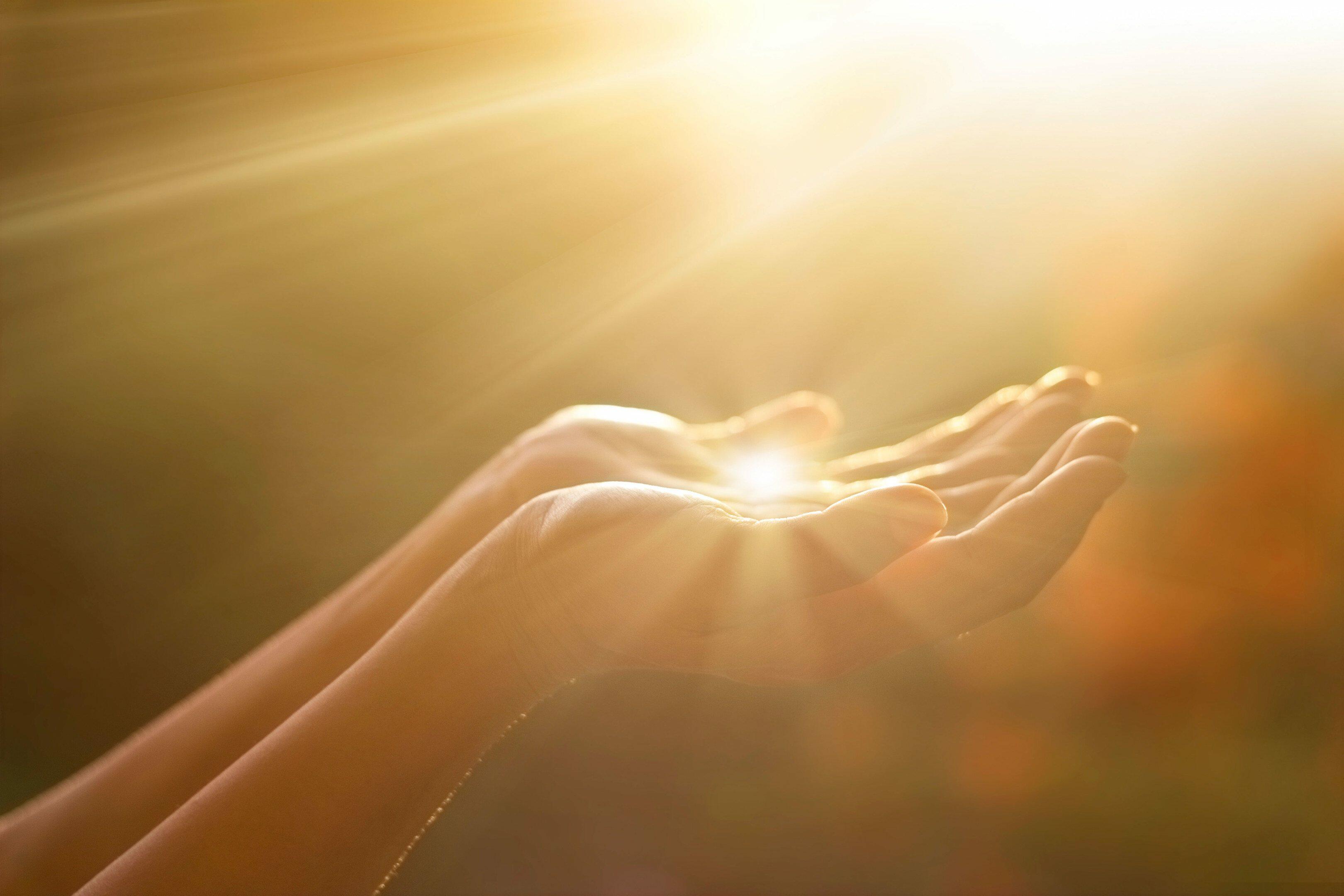 მიღება - მფლობელად ქცევა