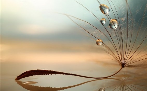 მიწიერი, ჩვეულებრივი სიცოცხლე