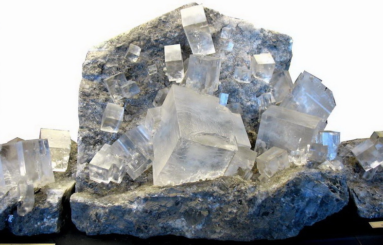 მტრობის განსაკუთრებული სისასტიკე მოწინააღმდეგის კუთვნილისადმი