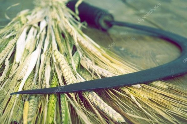 ნამგალი