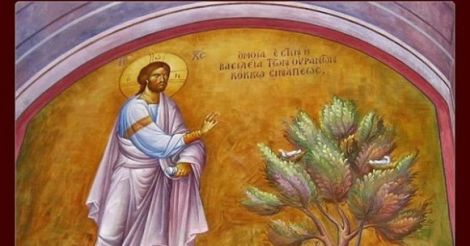 ნაყოფის არგამომღებს წაერთმევა ისიც, რაც აქვს