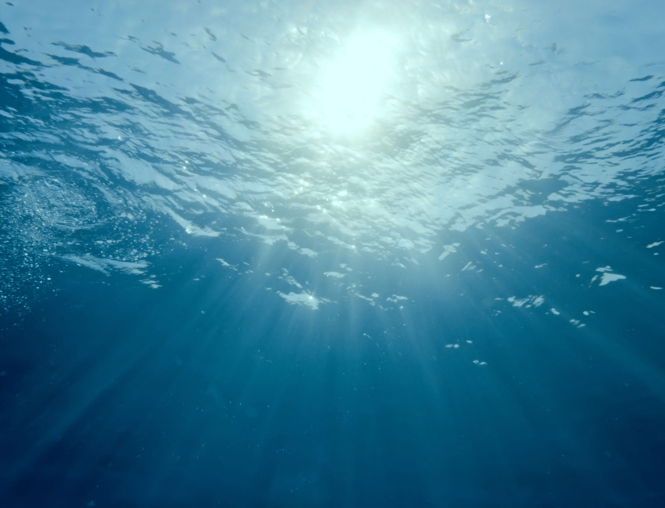 ნათლისღებით ხდება ცოდვების მიტევება