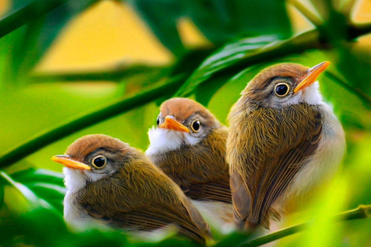 ნუ ვიზრუნებთ ხვალინდელ დღეზე, იმედი დავდოთ ღმერთზე