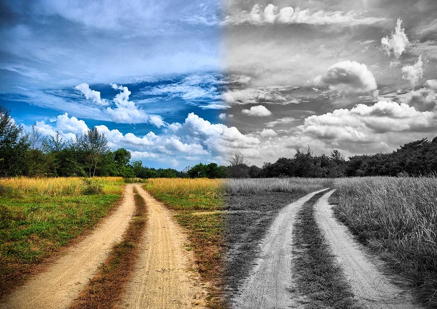 ორგული, ორჭოფი, გაორებული სული, ორი ბატონის მსახური