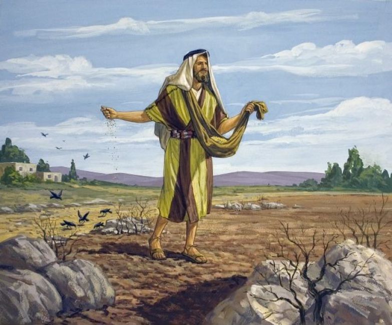 პოხიერი ნიადაგი როგორ გავხდეთ ღვთის სიტყვის მარცვლებისთვის