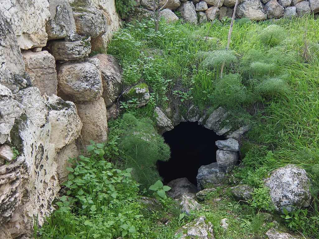 ყადულამი