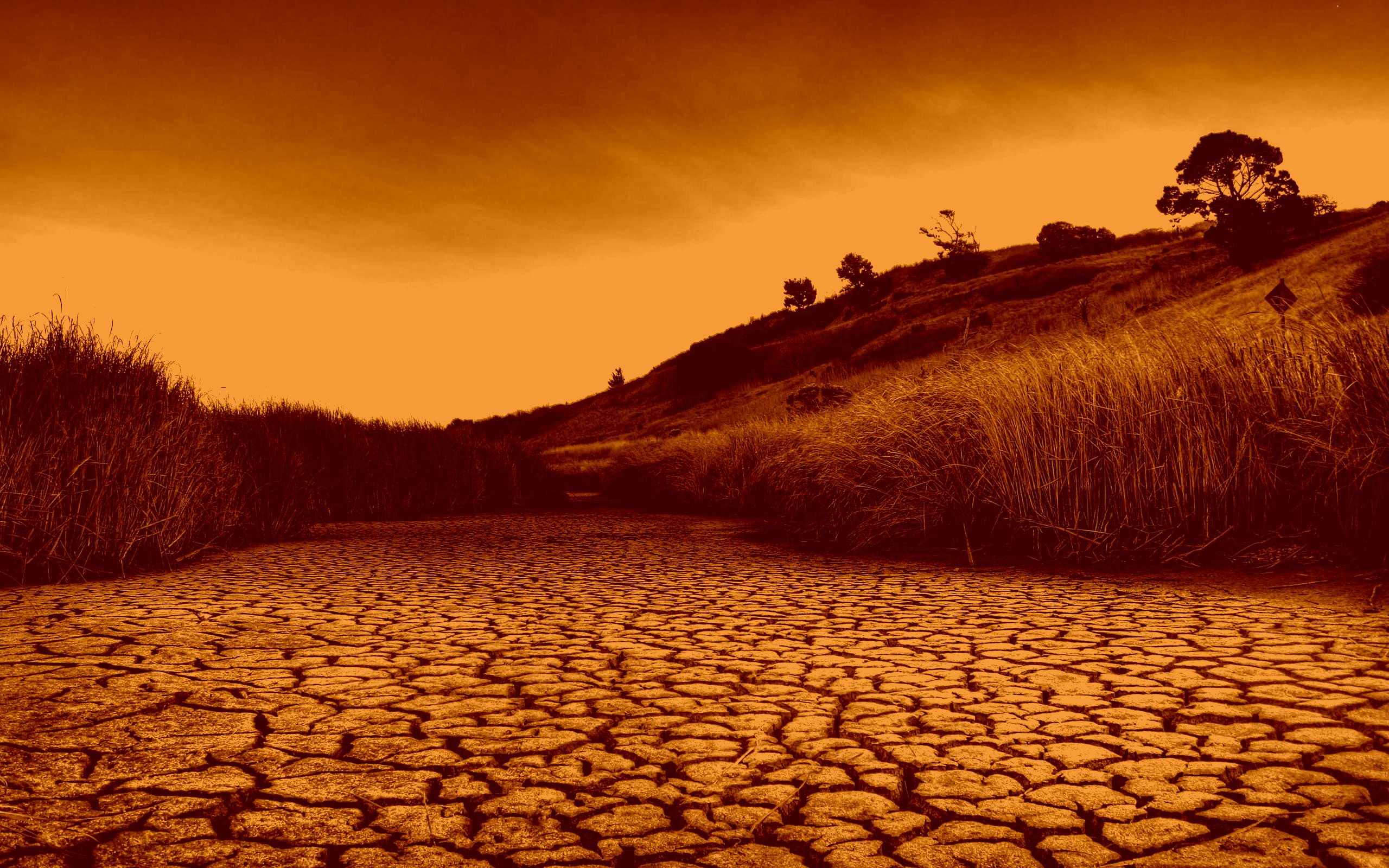 რჯულის არმომსმენის ლოცვა სიბილწეა