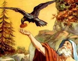 საარსებო საშუალებებით უზრუნველყოფა