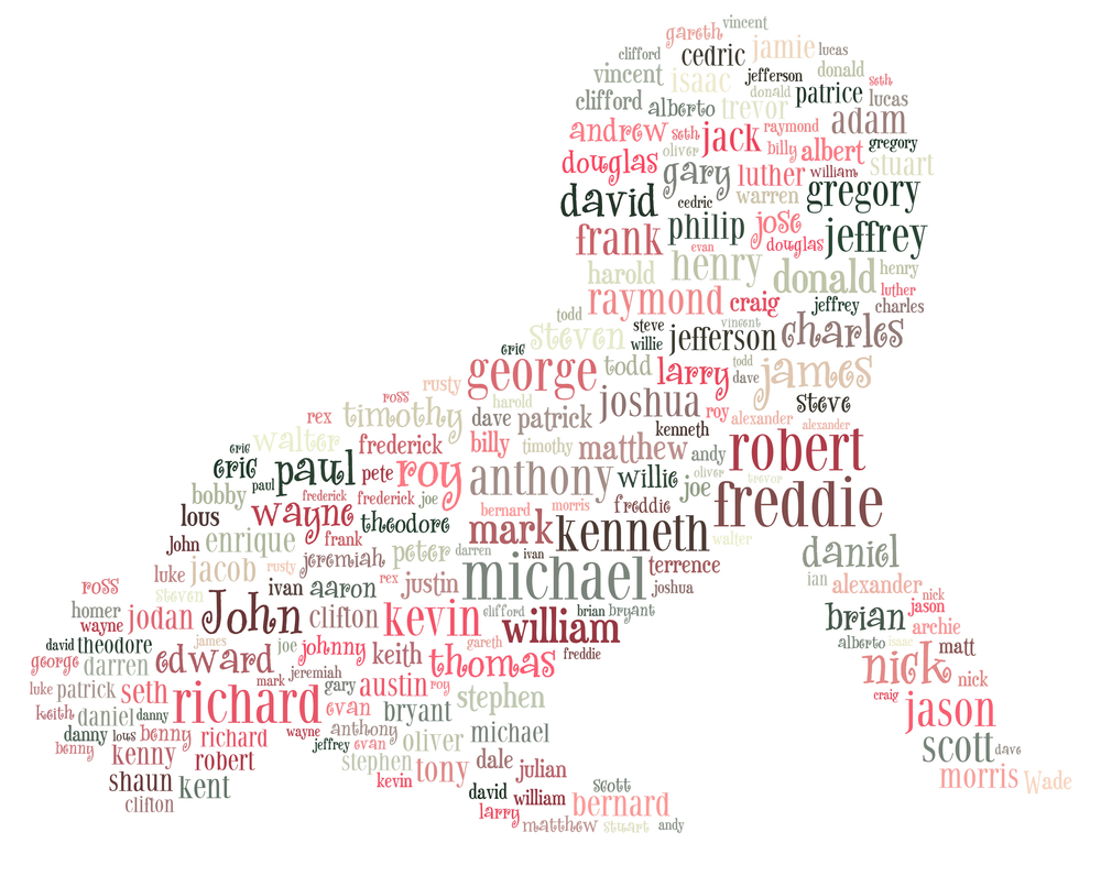 სახელის (მეტსახელის) შერქმევა