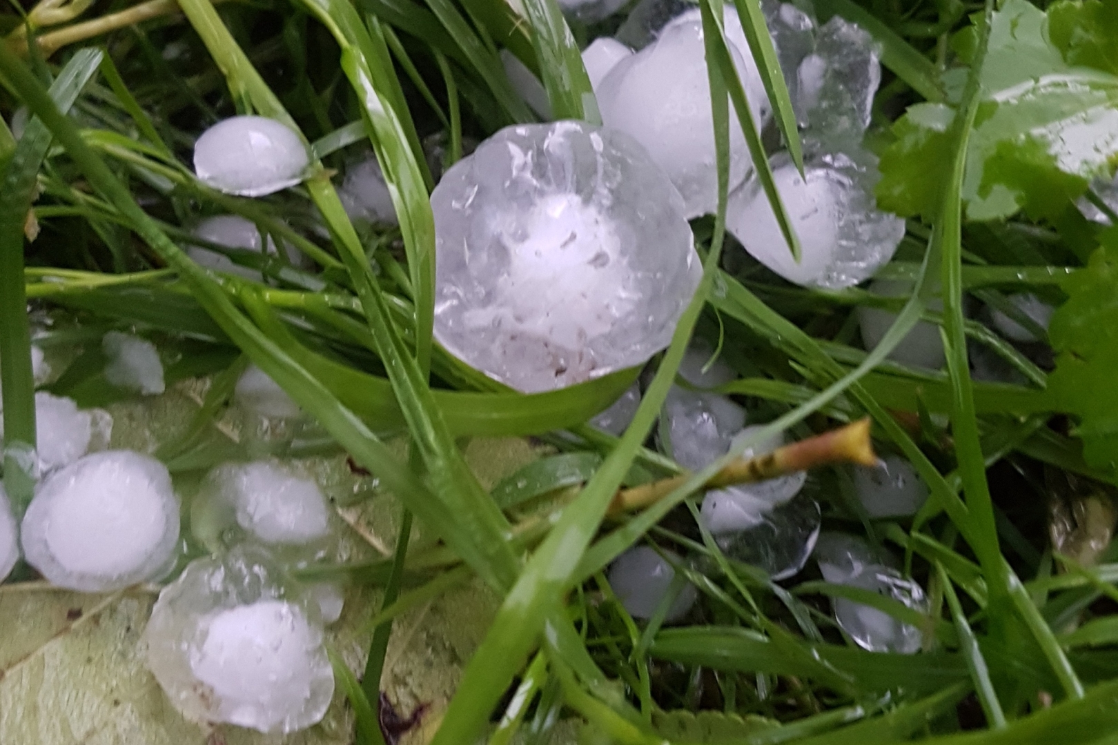 სეტყვა - ატმოსფერული ნალექი