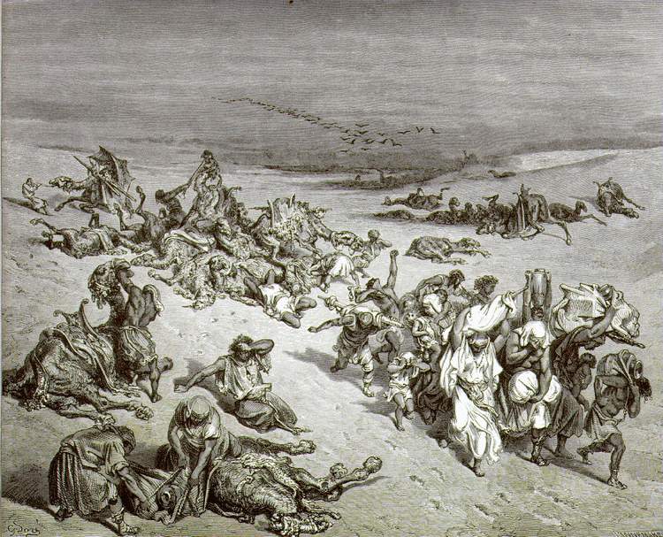 შავი ჭირი