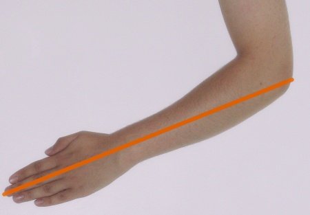 სიგრძის და ფართის ზომების ერთეულები ბიბლიაში